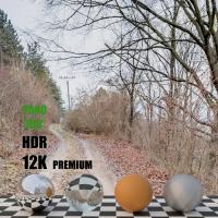 HDR panorama dirt road